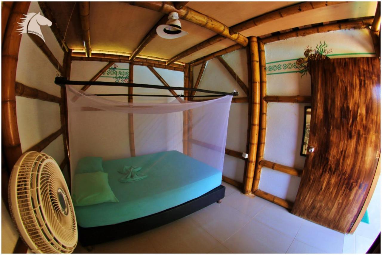 Kaluta Hostel Palomino Buitenkant foto