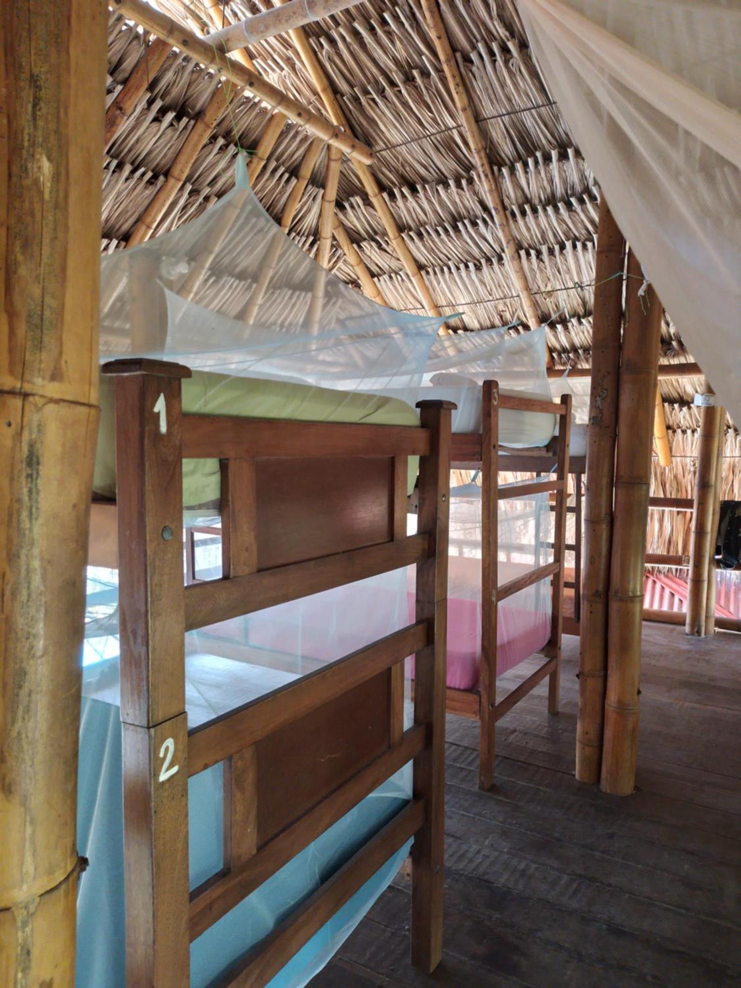 Kaluta Hostel Palomino Buitenkant foto