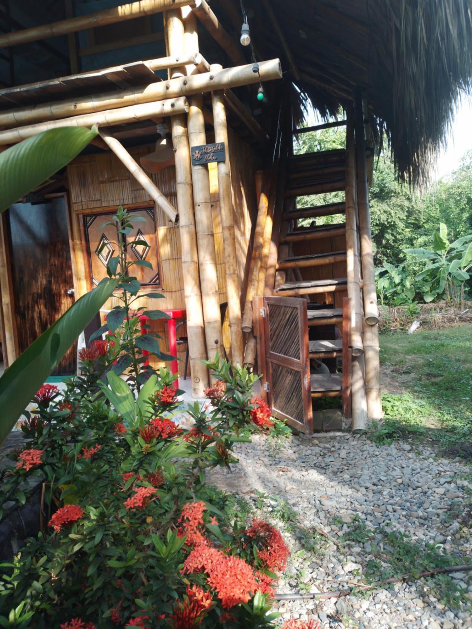 Kaluta Hostel Palomino Buitenkant foto